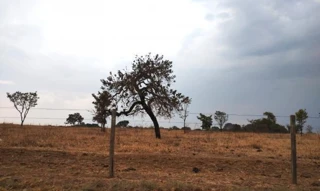 Imóvel 2535590 [''] - [''] [''] - ['Trindade']/['GO'] - 1