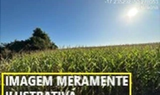 Imóvel 2395590 [''] - [''] [''] - ['Paraúna']/['GO'] - 1