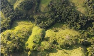 Imóvel 2760990 [''] - ['Lote 6, subdivisão do Lote 17, GLEBA no 05, COLONIA CANTU, Município de Mato Rico, Pitanga/PR'] [''] - ['Pitanga']/['PR'] - 1