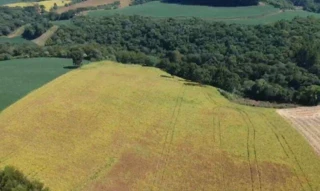 Imóvel 2737990 [''] - ['Lote Rural Nº 178, Gaurama'] [''] - ['Áurea']/['RS'] - 1