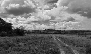 Imóvel 2396590 [''] - ['Estrada da Produção km 14, Zona Rural'] [''] - ['Pimenta Bueno']/['RO'] - 1