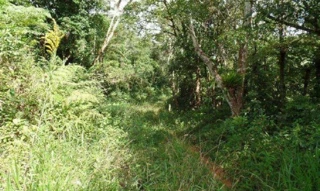 Imóvel 2371790 [''] - ['Bairro do Salto, zona rural'] [''] - ['Ibiúna']/['SP'] - 1