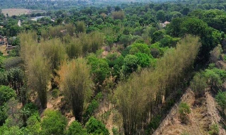 Imóvel 2716191 [''] - ['Alameda do Sol, S/N, Fazenda Retiro, Goiânia, GO, 74000-000, , Goiânia/GO'] ['Village Casa Grande'] - ['Goiânia']/['GO'] - 1