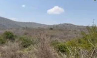 Imóvel 2646891 [''] - ['Zona do Umbuzeiro, Planalto'] [''] - ['Planalto']/['BA'] - 1