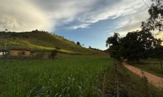 Imóvel 2832291 [''] - ['Gleba Rural na Fazenda Bom Jardim, S/N, Gleba Rural na Fazenda Bom Jardim, lugar denominado Barra do Córrego Santo Antônio - Zona Rural de Tombos , Lugar denominado Barra do Córrego Santo Antônio Zona Rural de Tombos, Tombos, MG, CEP: 36844-000'] [''] - ['Tombos']/['MG'] - 1