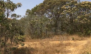 Imóvel 2741291 [''] - ['Serra do Pião, s/n - Zona rural São Thomé das Letras - MG'] [''] - ['São Thomé Das Letras']/['MG'] - 1