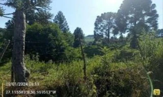 Imóvel 2622191 [''] - ['Estrada Geral, S/N, Bairro Zona rural'] [''] - ['Fraiburgo']/['SC'] - 1