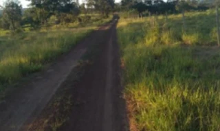 Imóvel 2843191 [''] - ['FAZENDA PRATA DOS NETOS- LUGAR DENOMINADO CERRADO'] [''] - ['Presidente Olegário']/['MG'] - 1