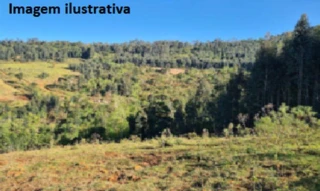 Imóvel 2288491 [''] - ['Linha Rio Tigre, Distrito de Irakitan, Município de Tangará'] [''] - ['Tangará']/['SC'] - 1