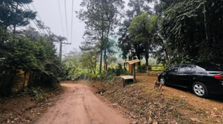 Imóvel 2482592 [''] - ['Estrada da Ponte Alta, 5000 - Engenheiro Marsilac - São Paulo - SP'] ['Jardim dos Eucaliptos'] - ['São Paulo']/['SP'] - 1