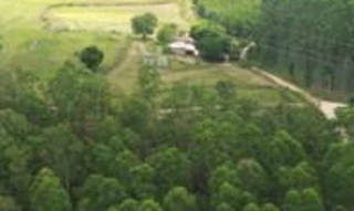 Imóvel 2659392 [''] - ['Linha Fernando Abott'] [''] - ['Sertão Santana']/['RS'] - 1