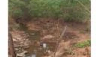 Imóvel 2387092 [''] - ['Loteamento Água Quente, Gleba 14, Fazenda São Bento'] [''] - ['Jaú Do Tocantins']/['TO'] - 1