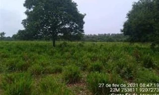 Imóvel 2370292 [''] - ['Parte do Lote 30, integrante do Loteamento "RIOS LONTA E ANDORINHA 5ª ETAPA", denominado Fazenda Santa Fé - Parcela 02, situado em Santa Fé do Araguaia'] [''] - ['Santa Fé Do Araguaia']/['TO'] - 1