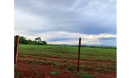 Imóvel 2509692 - Fazenda Palmeiras