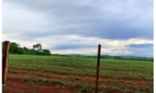 Imóvel 2509692 [''] - ['Fazenda Palmeiras'] ['Centro'] - ['Guapó']/['GO'] - 1