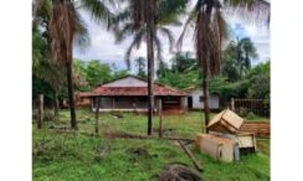 Imóvel 2509692 - Fazenda Palmeiras