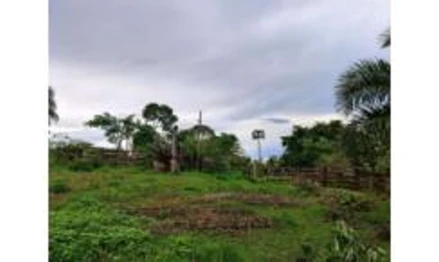 Imóvel 2509692 - Fazenda Palmeiras