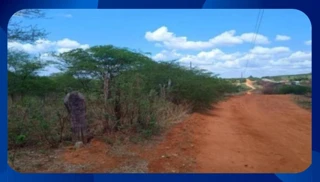 Imóvel 2617292 [''] - ['Fazenda Tanque Novo, à margem esquerda da Rodovia BR-316'] [''] - ['Ouricuri']/['PE'] - 1