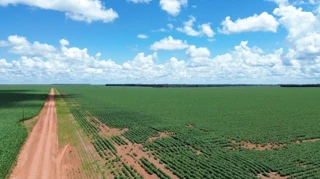 Imóvel 2758793 [''] - ['Fazenda Três de Maio, do Projeto Ana Terra, no município e Comarca de Tapuráh'] [''] - ['Tapurah']/['MT'] - 1
