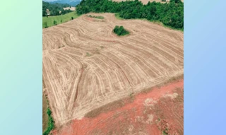 Imóvel 2849593 [''] - ['Lote de Terra Rural nº 89-D, Gleba nº 82-FB, Núcleo Francisco Beltrão, Colônia Missões, Linha Alto Bela Vista, zona rural, Linha Alto Bela Vista, Nova Prata do Iguaçu, PR, 85685-000'] ['Alto'] - ['Nova Prata do Iguaçu']/['PR'] - 1