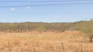 Imóvel 2722093 [''] - ['Sítio Ceia'] [''] - ['Jucurutu']/['RN'] - 1