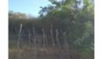 Imóvel 2558593 [''] - [''] [''] - ['Xique-Xique']/['BA'] - 1