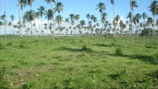 Imóvel 2615294 [''] - [', SN'] [''] - ["Itaporanga D'Ajuda"]/['SE'] - 1