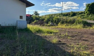 Imóvel 2553194 [''] - ['Linha Senador Ramiro'] [''] - ['Nova Bassano']/['RS'] - 1