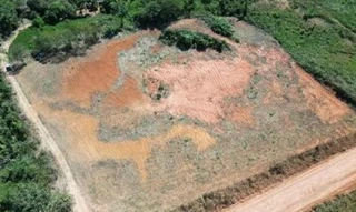 Imóvel 2678194 [''] - ['Chácara LE 71'] [''] - ['Apiacás']/['MT'] - 1