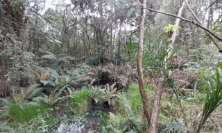 Imóvel 2741394 [''] - ['lugar Imbuial'] [''] - ['Campina Grande Do Sul']/['PR'] - 1