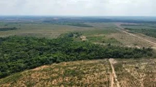 Imóvel 2450794 [''] - ['Lote n° 18, Loteamento Santa Rosa'] [''] - ['Centenário']/['TO'] - 1