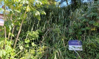 Imóvel 2734394 [''] - ['RUA PROJETADA, N. 15, LT 34, QD K'] ['Conceição de Jacareí'] - ['Mangaratiba']/['RJ'] - 1