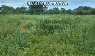 Imóvel 2436594 [''] - ['FAZENDA MUCAMBO, RIO DAS PEDRAS - Lagoa dos Patos - MG'] [''] - ['Lagoa Dos Patos']/['MG'] - 1