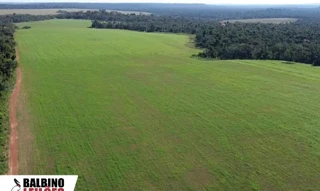 Imóvel 2748695 [''] - ['Lote Lanceiro, Gleba B, Juara, MT'] [''] - ['Juara']/['MT'] - 1