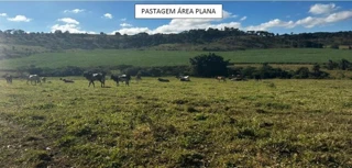 Imóvel 2527295 [''] - ['Fazenda Bocaina, antiga Invernada'] [''] - ['Cajuru']/['SP'] - 1