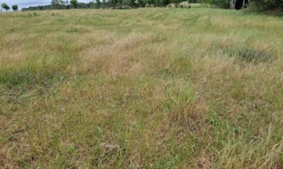 Imóvel 2527195 [''] - ['Coloninha, município de Arroio do Tigre/RS'] [''] - ['Arroio Do Tigre']/['RS'] - 1