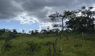 Imóvel 2742095 [''] - ['Fazenda Serra Negra, CENTRO - Patrocínio/MG'] ['Centro'] - ['Patrocínio']/['MG'] - 1