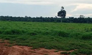 Imóvel 2617195 [''] - ['Estância BLAU II - EM PORTO DOS GAÚCHOS/MT'] [''] - ['Porto Dos Gaúchos']/['MT'] - 1
