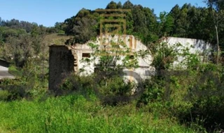 Imóvel 2496895 [''] - ['Rua Bento Gonçalves, 2031 - Centro - Porto Alegre - RS'] ['Partenon'] - ['Porto Alegre']/['RS'] - 1