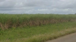 Imóvel 2615296 [''] - ['Fazenda Zumbi, à esquerda da Rodovia PB-041 (no sentido Sapé-Capim)'] [''] - ['Sapé']/['PB'] - 1