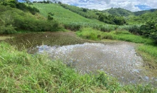 Imóvel 2714496 [''] - ['Fazenda Nossa Senhora'] [''] - ['Timbaúba']/['PE'] - 1