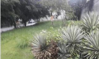 Imóvel 2746696 [''] - ['Alameda F,'] ['São José Operário'] - ['Manaus']/['AM'] - 1