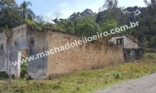 Imóvel 2562596 [''] - ['Loreto-2 Légua, s/n'] [''] - ['Caxias Do Sul']/['RS'] - 1