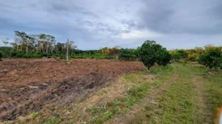 Imóvel 2516096 [''] - ['Área Rural de Santa Cruz do Sul'] [''] - ['Santa Cruz Do Sul']/['RS'] - 1