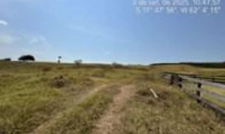 Imóvel 2731096 [''] - ['Linha 152, KM 8, lado sul'] [''] - ['Novo Horizonte Do Oeste']/['RO'] - 1