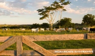 Imóvel 2399597 [''] - ['RODOVIA EVERALDO MARTINS, KM 26, nº S/N, ZONA RURAL, SANTAREM - PA, CEP 68.020-990'] [''] - ['Santarém']/['PA'] - 1