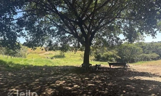 Imóvel 2718197 [''] - ['FAZENDA BOM JARDIM (FAZENDA CENTRAL DO BOI PARTE 2)'] [''] - ['Aragarças']/['GO'] - 1