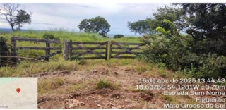 Imóvel 2504097 [''] - ['denominada "FAZENDA POTRERINHO'] [''] - ['Figueirão']/['MS'] - 1