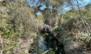 Imóvel 2590097 [''] - ['Bairro dos Silvas, Rodovia Marechal Rondon, nº km192'] [''] - ['Sao Paulo']/['SP'] - 1