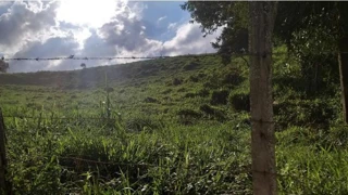 Imóvel 2843997 [''] - ['Sítio Recanto Hebron, S/N, Ponte, Zona Rural'] [''] - ['Poço Fundo']/['MG'] - 1